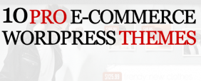 10-pro-ecommerce-wordpress-themes 10-pro-ecommerce-wordpress-themes