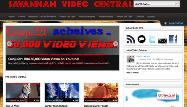 20+ Cool WordPress Sites Using Arras Theme   savannah video central screenshot arras wordpress theme