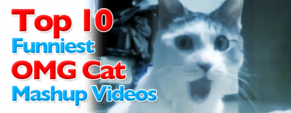 Top 10 Funniest OMG Cat Mashup Videos