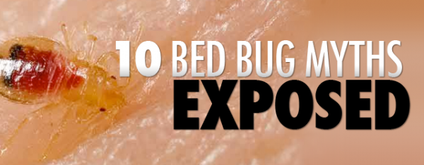 10 Bed Bug Myths Exposed