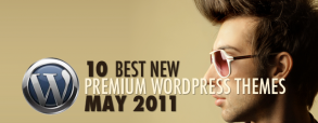 10-best-new-premium-wordpress-themes-may-2011