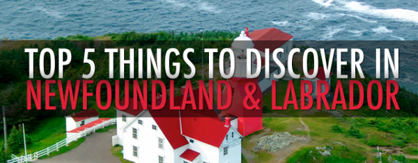 Top 5 Things to Discover in Newfoundland & Labrador