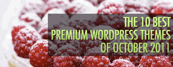 The 10 Best Premium WordPress Themes of October 2011