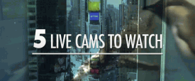 5-live-cams-to-watch