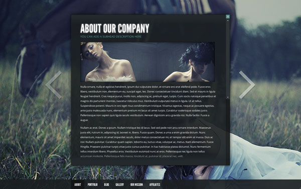 {focus_keyword} The 11 Best Premium WordPress Themes of March 2012 gleam premium portfolio gallery wordpress theme