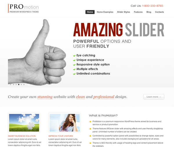 {focus_keyword} The 11 Best Premium WordPress Themes of March 2012 promotion responsive corporate business wordpress premium theme
