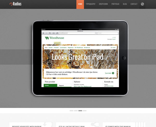 {focus_keyword} The 11 Best Premium WordPress Themes of March 2012 radius responsive creative portfolio premium theme for wordpress