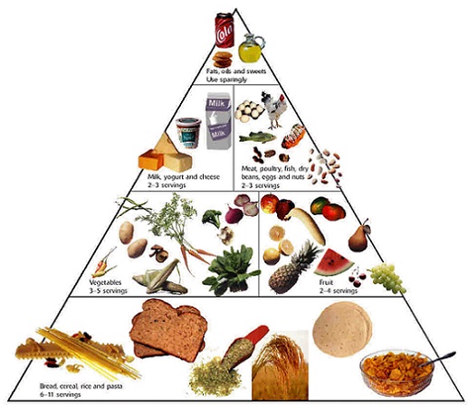 5 Important Antioxidants For A Healthy Family   Food triangle