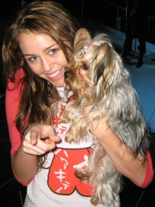 Miley Cyrus By Mike Schmid from Hollywood, CA, USA (Miley and Roadie) [CC-BY-SA-2.0 (http://creativecommons.org/licenses/by-sa/2.0)], via Wikimedia Commons celebrity farmers 7 Celebrities Who Are (Or Were) Actually Farmers Miley Cyrus crop