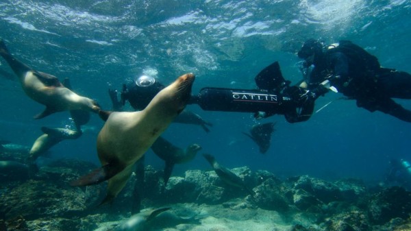 google-street-view-vehicles-sub-underwater google street view vehicles List of All 6 Google Street View Vehicles google street view vehicles sub underwater