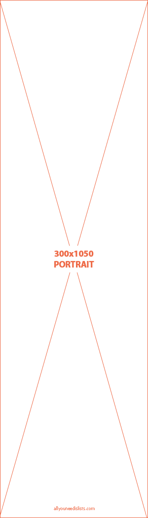 standard-banner-sizes-300x1050-portrait banner sizes Top 10 Most Common Banner Sizes standard banner sizes  portrait